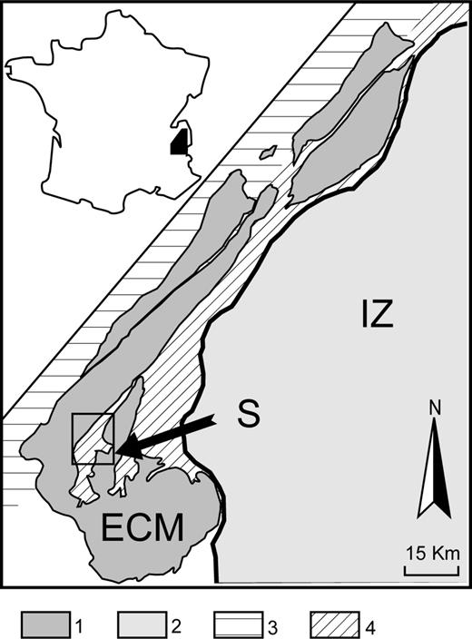 Location of the study area (S) in the western French Alps. 1: Crystalline basement of the External Crystalline Massifs (ECM); 2: internal zones (IZ); 3: sedimentary cover with occurrence of magnetite; 4: metamorphic sedimentary cover with occurrence of pyrrhotite.