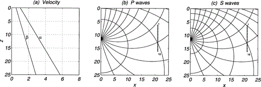 Inhomogeneous medium with constant density ρ = 1 (n = 0). Velocities α = 1 and β = 0.5 for z = 0, and α = 3.2 and β = 1.6 at z0 = 11.4, the source level. (a) Variation of wave velocities with depth. (b) , (c) Rays and wave fronts for traveltime multiples of 3.0 for P and S waves, respectively. In (b) and (c) the positions of the 18 receivers are marked with diamonds.