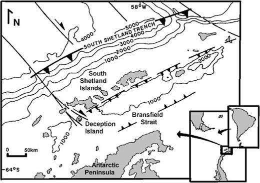 Regional geotectonic framework of the Drake Passage and location of the South Shetland Islands.