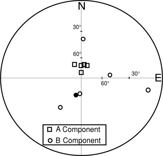 Distribution of low (squares) and high (circles) temperature components determined from site DI-09 corresponding to the Yellow Tuff Formation. The tight grouping of the low-temperature component and scatter of the high temperature one may suggest a partial thermal remanence acquired after deposition of the pyroclastic flow. For further discussion see the text.