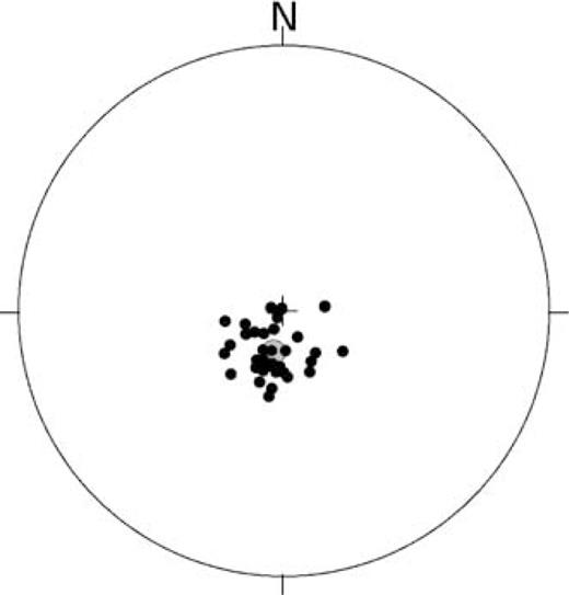 Site mean Permian remanence directions that record the emplacement of the MLIC, either as a primary magnetization or as an overprint step (filled symbols indicate directions on lower hemisphere). The shaded circle indicates the mean direction and associated error.