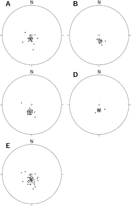 Sample mean Permian remanence directions from the Tuckers Range area, grouped according to rock type. A, hornfels and thermally overprinted zones; B, granodiorites; C, quartz monzonite; D, quartz diorite and gabbro; E, all the data. Shaded circles indicate the mean direction and the associated error.