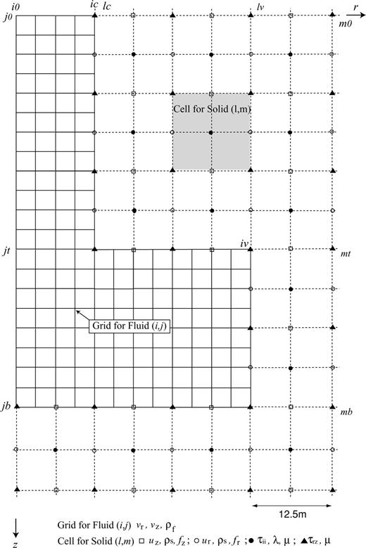 Grid architectures of the fluid and solid used in our finite-difference simulations.