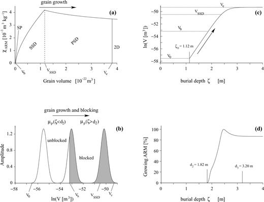 (a) ARM susceptibility (χARM) of magnetite as a function of grain volume. χARM increases within the single domain range. Above 1.13 × 10−22 m3 (0.06 μm diameter) the pseudo-single domain stage (PSD) is reached and χARM slowly decreases. (b) Magnetic grains below Vb cannot retain a remanent magnetization (left), and are not blocked. A log-normal distribution of chemically formed grains grows through the blocking volume Vb (arrow). The blocked grains reach the end volume V=Ve. (c) Assumed mean magnetite grain volumes with increasing burial depth. Grain growth stops below a certain depth and the grains reach their final two-domain (2-D) volume of 3.82 × 10−22 m3 (diameter = 0.09 μm). (d) The growing ARM is represented by the integral of the distribution multiplied with χARM between Vb and infinity. Because of the decrease of χARM above 1.13 × 10−22 m3, the contribution at large ζ is less than at the maximal value VSSD and is taken as the characteristic value for the equivalent CRM. The lock-in depths and ζ0 correspond to the best-fitting parameters of the exponential model (Fig. 11b). In this model, grain growth starts at ζ0= 1.12 m and CRM blocking begins at d2= 1.82 m. The lock-in process is completed at d3= 3.20 m.