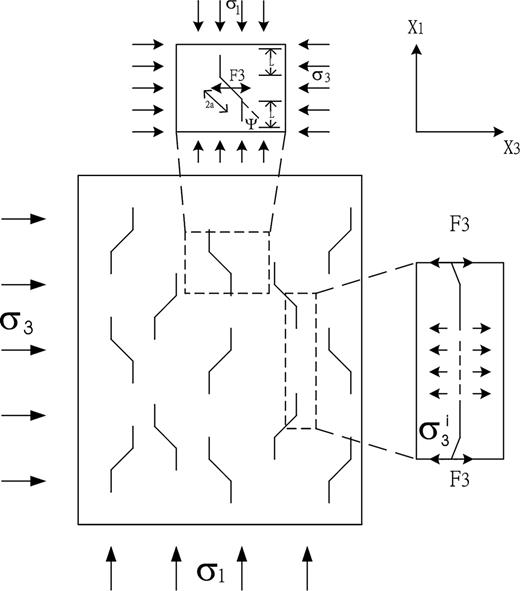Model of extending microcracks.