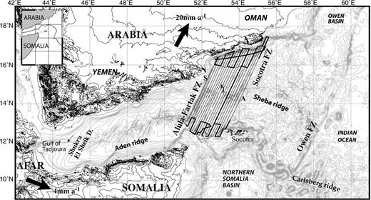 Bathymetric and topographic map of the Gulf of Aden area (Smith & Sandwell 1994). Solid lines show of the Encens-Sheba cruise tracks where bathymetry, magnetic and gravity have been acquired. The bold black lines indicate the location of the seismic profiles (d'Acremont 2005). Solid arrows show the plate displacement and the associated rate (Jestin 1994). Inset: general map location with the Aden/Sheba and Carlsberg ridges.