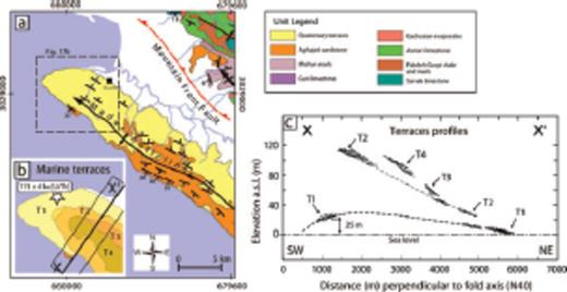 (A) Geological map of the Madar anticline; inset (B) shows a detailed geomorphic map of the marine terraces at the NW termination of the anticline. The lowest marine terrace T1 has been dated at 111 ± 4 ka by 230Th/234U on corals (sample HA7 in Reyss et al. 1998). (C) Deformation profile of this late interglacial (MIS5) marine terrace and older terraces across the NW termination of Madar anticline (location of profile in A).