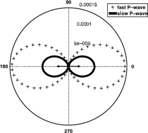Dipole radiation pattern: pore pressure p; Cross-section perpendicular to the x-y plane; the numbers 5 × 10−5 to 0.00015 denote the pressure in Pascal along the radial axis; the slow P-wave displacement is amplified by factor 2 × 102; no shear wave is radiating in the fluid phase.