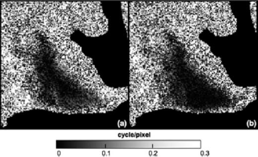 Maps of the angular deviations contributed by individual pixels in the interferometric pair spanning the time interval 1997.35–1998.79 calculated from two sets of model parameters: (a) initial estimate and (b) final estimate. The scale ranges from an angular deviation of cycle (dark shading) to 0.5 cycle (light shading).