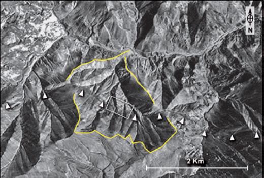 Aerial photo of the active Taleghan fault in its eastern part showing the left-lateral normal displacement of a drainage basin (yellow line), its crests and talwegs (see Fig. 3 for location). White triangles indicate the fault line. The white rectangle indicates the area studied in details.