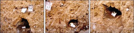 Log of the eastern wall of the trench T1 opened on the Taleghan fault. Unit 10: dark brown organic soil with roots, 40% clasts (5 mm–5 cm); unit 20: unstratified light brown colluviums with silty matrix, 30% clasts (5 mm–8 cm) with few big cobbles at the base; unit 30: unstratified light brown colluviums with silty matrix, 30% clasts (3 mm–5 cm), with big carbonate clasts (some >50 cm) at the base; unit 31: sorted, unstratified, light brown-to-beige colluviums with silty matrix, 20% clasts (3 mm–2 cm); unit 32: sorted, unstratified brown colluviums with silty matrix, 30% clasts (3 mm–2 cm); unit 33: well-sorted, unstratified, brown-to-dark brown colluviums with silty matrix, 10% clasts (3 mm–3 cm); unit 40: sorted, unstratified light brown colluviums with silty matrix, 10% clasts (5 mm–5 cm), a few big cobbles at the base; unit 41: sorted, unstratified, light brown colluviums with silty matrix, 20% clasts (3 mm–3 cm); unit 50: sorted, unstratified, brown-to-dark brown colluviums with silty-clayed matrix, 10% clasts (5 mm–15 cm), a few big cobbles (>25 cm); unit 60: yellowish brown layer of volcano-sedimentary rocks (Eocene bedrock, Karaj Formation); unit 61: beige-to-white layer of volcano-sedimentary rocks (Karaj Formation); unit 70: greenish-to-brownish gouge zone made of clayey material; unit 80: beige-to-white volcano-sedimentary rocks with alterations (Karaj Formation); unit 90: light grey volcano-sedimentary rocks (Karaj Formation); black thick lines and arrows with “e” indicate the event horizons (ground surface at the time of each event).