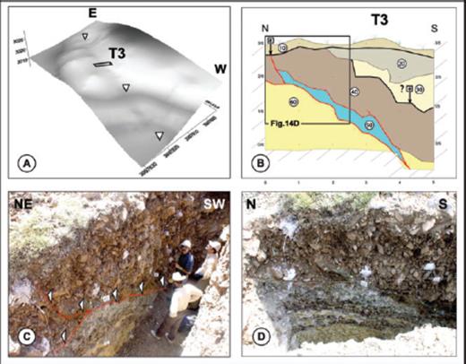 Pictures showing examples of organic material found around cobbles (note that no organic material or tracks of alteration are observed within the finer deposits).