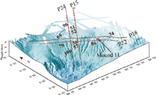 Detailed location map of wide-angle profiles in this study. 64 OBH(S) stations were deployed. Record sections from numbered OBH(S) stations are displayed in Figs 6–10 and Figs 12–15. The location of Mound 11 is from Soeding et al. (2003).