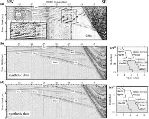 1-D reflectivity modelling for OBH 88 deployed along the strike-line P22. (a) The different seismic phases are identified from the data of OBH 88. Phase PtP shows the reflection from the top of the first LVZ and PbP shows the reflection from the bottom of the second LVZ. The arrows show the reflections from the bottom and top of the two extreme low-velocity thin layers. Lower inset shows an enlarged part indicated by a box in the data. (b) shows the preferred synthetic seismogram matching the data and (c) displays the corresponding velocity-depth profile. (d) The low velocity gradient within the margin wedge and only one LVZ in the velocity-depth profile are shown for comparison. Reflections from a single LVZ cannot adequately match the data. Source signal input is a 12.5 Hz Fuchs–Mueller signal. In the P- and S-wave velocity-depth profiles, the depth range of the subducted slab is grey shaded.