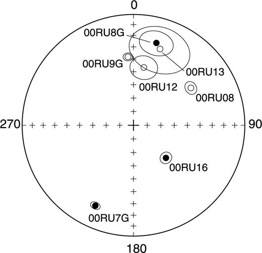 Stereographic projection of individual flow directions. Solid and open symbols indicate directions in the upper and lower hemisphere, respectively.