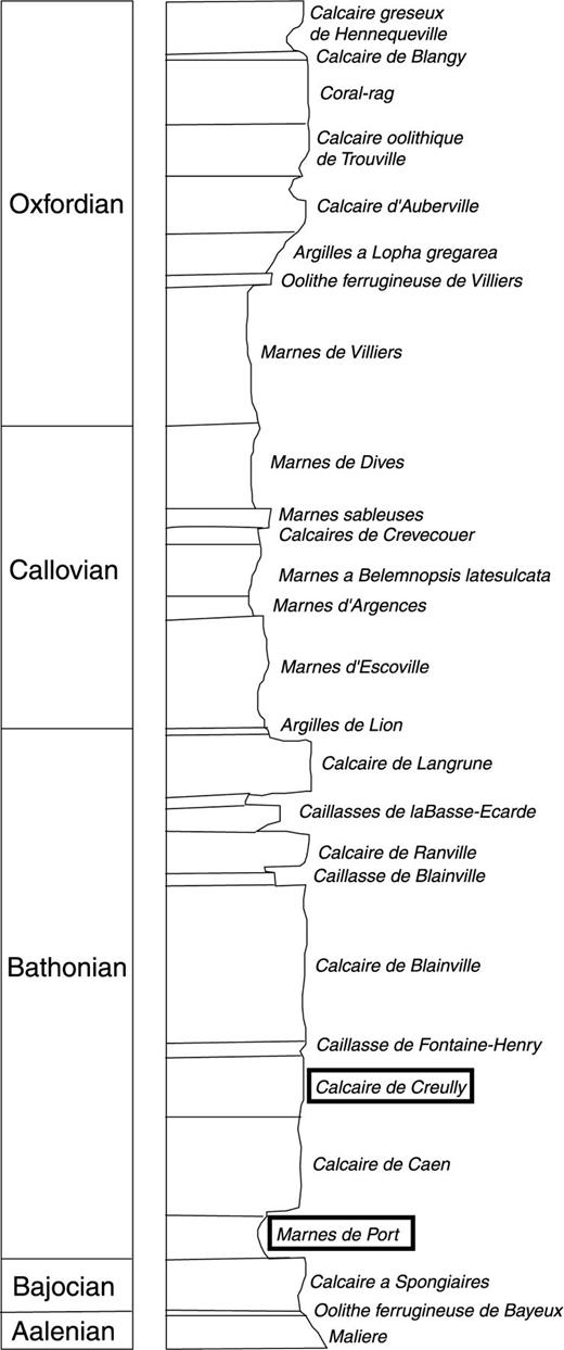 The middle-upper Jurassic succession of the Normandy reference section; outlined are the Bathonian formations found at Pointe du Hoc; after Rioult et al. (1991).