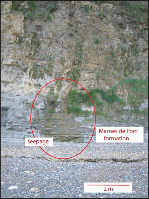 Groundwater seepage from the top of the Marnes de Port formation.