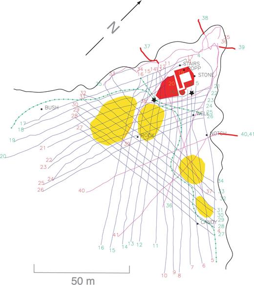 OP geophysical site map showing locations of topside resistivity lines (blue) and cliffside or other lines that required roped access (purple). The start of each line is marked by the green numbers; the end by the red numbers. Green lines are fences; yellow areas are major bomb craters; the OP building is marked in red; the approximate cliff edge is the heavy black line. Names and locations of survey control points are indicated. Vertical parts of the cliffside lines projected onto the horizontal plane are marked with a heavy red line. Borehole locations are marked by stars.