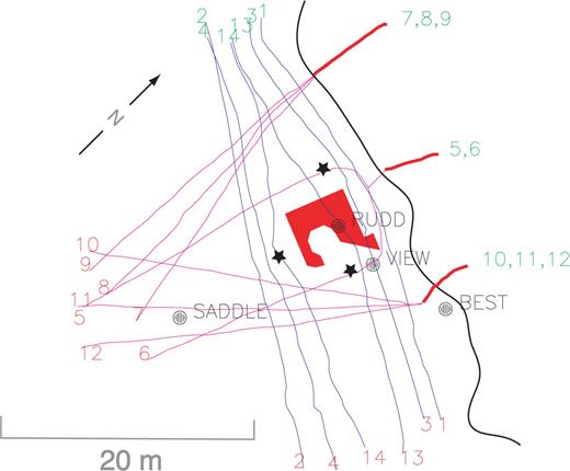 RCP geophysical site map showing locations of topside resistivity lines (blue) and cliffside or other lines that required roped access (purple). The start of each line is marked by the green numbers; the end by the red numbers. The RCP building is marked in red; the approximate cliff edge is the heavy black line. Names and locations of survey control points are indicated. Vertical parts of the cliffside lines projected onto the horizontal plane are marked with a heavy red line. Borehole locations are marked by stars.