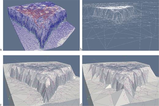 (a) OP Mesh input: topographic points and Delaunay triangulation (blue), electrode positions (red) and supplementary polygon (green); (b) surface mesh with interpolated heights and inner region as input to the ‘TetGen’ mesh generator; (c) final parameter mesh and (d) parameter mesh without the supplementary polygon.