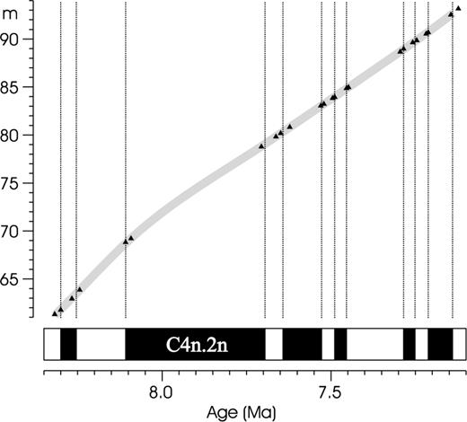 The principle of dating a magnetostratigraphic section. This figure relates the level of samples bracketing the detected polarity reversal horizons (the ordinates of the plotted points) with the possible age of their primary remanent magnetization (the abscissae). The oldest sample acquired its remanent magnetization during a reverse polarity interval, the following two samples during the following normal polarity interval, etc. (cf.Table 1 in Section 6). The times of acquisition were, therefore, constrained by inequalities (1) with the not yet known odd value of index k. We must try all such values and then select the most likely of them. This figure applies to value k= 39. Given this value, we must find the most likely ages subject to constraints (1). The term ‘most likely’ will be specified in the next two sections.