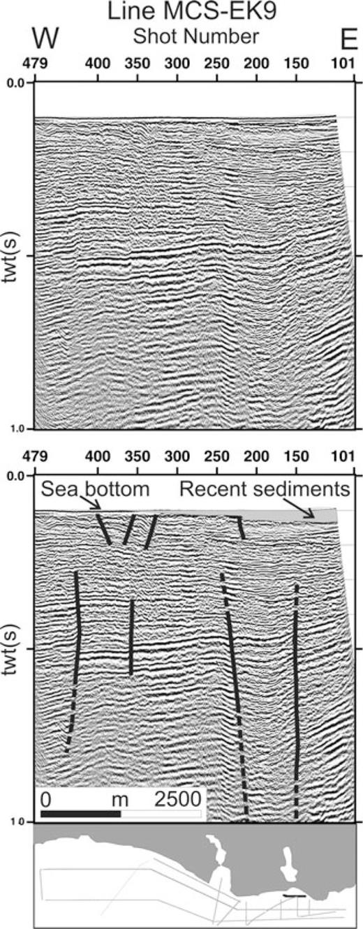 Migrated seismic section MCS-EK9 and its interpretation. This section displays shallow normal faults terminating at about 100 ms depths. The extension of these faults coincides with western bank of Küçükçekmece Lake where land sliding is observed (see Fig. 2). Some other faults cutting the strata at shot locations 150, 250 and 350 are observed in the section. The layers between shots 150 and 250 are depressed and this depression is more pronounced at greater depths indicating fault controlled mechanism.