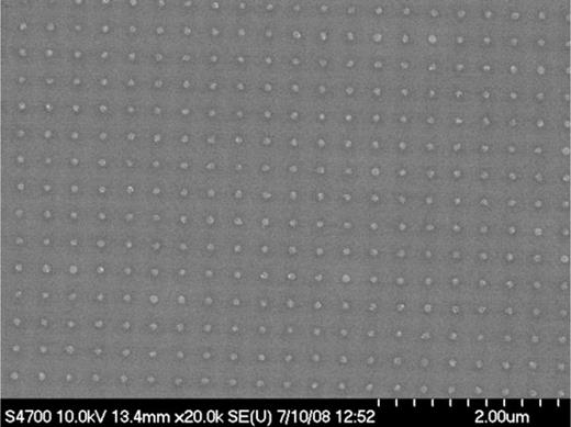 Scanning electron microscope image of sample DK0124right.