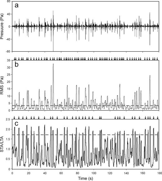 (a) Three-minute long infrasound signal recorded by EBEL station, (b) corresponding rms envelope (black line) calculated by using a moving window of 0.7 s and (c) STA/LTA values. The horizontal grey dashed line in (b) indicates the detection threshold calculated by a percentile value of 5 multiplied by 5. The horizontal grey dashed line in (c) indicates the detection threshold fixed at 1.7. The arrows at top of (b,c) indicate the onset time of the detected events.