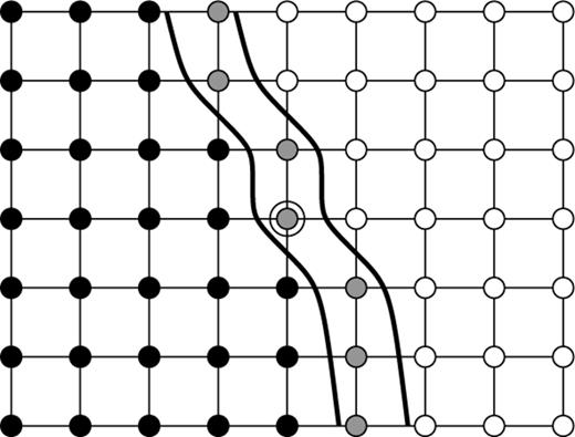 A section of a rectilinear 2-D grid through which an FMM solution is progressing. Grid nodes are represented as circles with thin connecting lines indicating the grid cells. Upwind nodes are filled black, downwind nodes that are ‘close’ are filled grey and downwind nodes that are ‘far’ are filled white. The central node is circled for referencing in the text. Two parallel thick lines represent either side of a narrow band of ‘close’ nodes.