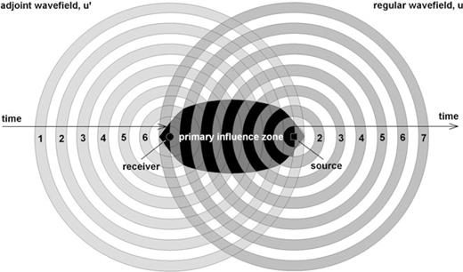 Schematic illustration of the primary influence zone where the regular wavefield u interacts with the adjoint wavefield u†. Numbers are used to mark the regular and adjoint wave fronts at successive points in time. As time goes on, the regular wavefield propagates away from the source while the adjoint wavefield collapses into the receiver. In numerical simulations the adjoint equations are solved backwards in time to satisfy the terminal conditions. On the reverse time axis, the adjoint field propagates away from the receiver, starting at the final observation time. The primary influence zone marks the region where a model perturbation δm generates a first-order scattered wavefield that affects the measurement at the receiver. Perturbations located outside the primary influence zone have no first-order effect on the measurement. The spatial extension of the primary influence zone is proportional to the length of the analysis time window considered in the seismograms.