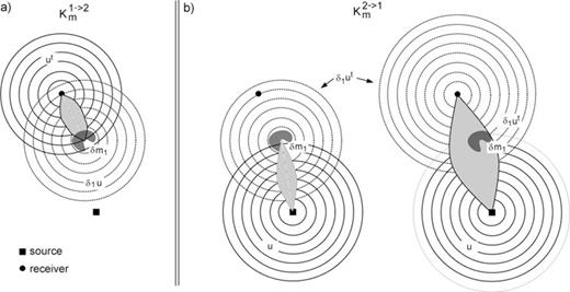Schematic illustration of the Hessian kernels K1→2m and K2→1m that are related to first- and second-order scattering. (a) Construction of the Hessian kernel K1→2m through the interaction of the the adjoint field u† and the first-order scattered forward field δ1u that is generated when the forward field u impinges on the model perturbation δm1. The Hessian kernel K1→2m, shown as the shaded area, localizes the volume where a perturbation δm2 causes δ1u to generate a second-order scattered field that affects the measurement at the receiver (•). (b) The Hessian kernel K2→1m is the superposition of two influence zones that correspond to the two sources of the differentiated adjoint field δ1u†. The first source, −∇mL†(u†) δm1, excites a scattered field which then generates a secondary influence zone (left panel). A first-order scattered field that originates from within this secondary influence zone can then be scattered again from δm1 and finally affect the measurement at the receiver. The second source of δ1u† is −∇u∇uχ†(δ1u). The corresponding influence zone extends from source to receiver and accounts for the first-order scattering contribution represented by the approximate Hessian (right panel).