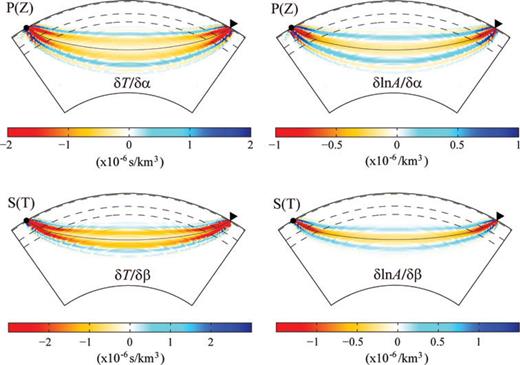 Fréchet kernels of vertical-component P wave (top panels) and transverse-component SH wave (bottom panels) for P- and S-wave speeds α and β, respectively. The left panels are kernels of traveltimes and the right panels are kernels of amplitudes. Waves with period of 8 s or longer are included. Both the source and receiver are at the surface and the epicentral distance is Δ= 60°. Dashed lines indicate the Moho, the 410-km and the 660-km seismic discontinuities.