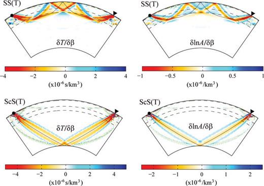 Fréchet kernels of transverse-component SS(H) wave (top panels) and ScS(H) wave (bottom panels) for S-wave speed β. The left panels are kernels of traveltimes and the right panels are kernels of amplitudes. Waves with period of 8 s or longer are included. Both the source and receiver are at the surface and the epicentral distance is Δ= 60°.