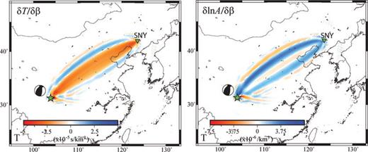 Fréchet kernels of Love wave traveltime (left) and amplitude (right) for S-wave speed β at a depth of 21 km. Waves with period of 25 s or longer are included. The source is at a depth of 21 km with a focal mechanism shown by the beachball. The receiver is on the surface at an epicentral distance of Δ= 19°.