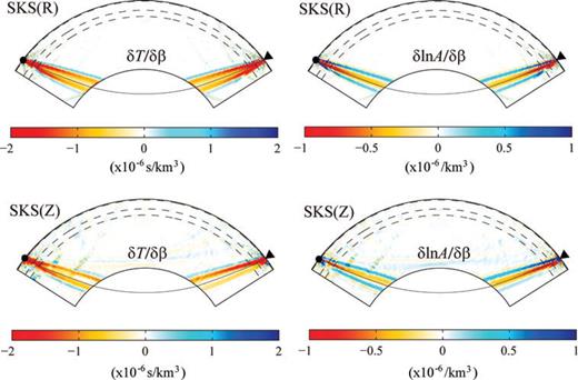 Fréchet kernels of radial- (top panels) and vertical-component (bottom panels) SKS wave for S-wave speed β. The left panels are kernels of traveltimes and the right panels are kernels of amplitudes. Waves with period of 8 s or longer are included. Both the source and receiver are at the surface and the epicentral distance is Δ= 105°. In this study, only sensitivities in the mantle are calculated. As a result, the sensitivities of the SKS wave to core structure below CMB are not shown.