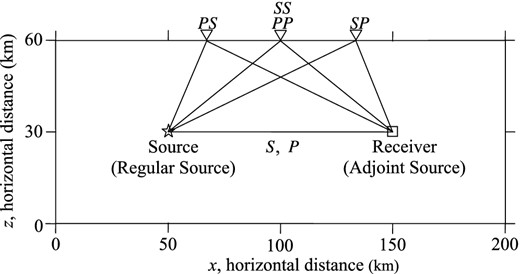 Sketch of the 2-D model dimensions and the source–receiver geometry as well as the possible body wave ray paths for the P-SV wavefield. The ray paths drawn are based on a homogeneous model. Modified from Tromp et al. (2005).