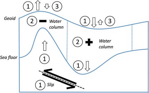 Schematic description of the coseismic effect of an ocean presence on gravity changes. (1) As the geoid surface represents the sea level at rest, coseismic changes in geoid height minus bathymetry changes represent the coseismic change in relative sea level. Uplift and subsidence of the seafloor due to thrust faulting are drawn, next to the related changes in the gravity field that are represented as geoid changes. (2) As the bathymetry change is two orders of magnitude larger than the geoid height change, around the uplifted region the water column will decrease and around the subsided region the water column will increase. (3) A smaller water column implies a local decrease in mass, resulting in a geoid height drop with respect to the increase of step 1 (left) and a larger water column at the subsided region leads to a secondary geoid height increase (right). Note: While changes in water column also change the loading of the ocean floor and thus trigger elastic deformation of the solid Earth, it shows that this type of deformation is very small with respect to the direct coseismic deformation (Broerse et al.2011). Hence we omit water load-induced deformation in this figure. Non-linear effects due to feedback between geoid changes, bathymetry changes and relative sea level are not depicted as well.