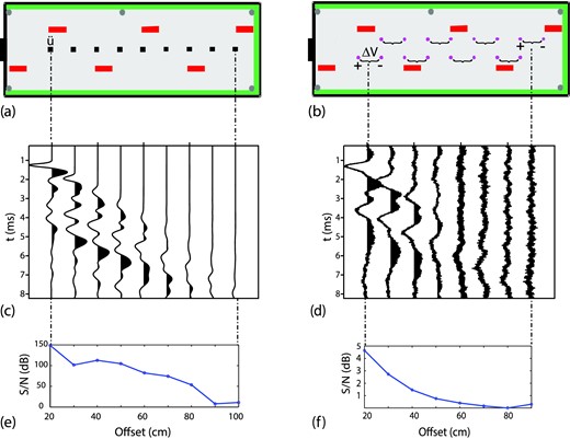 (a) View from above of the horizontal plane of the experimental set-up containing accelerometers (black squares) and capacitance probes (red rectangles). (b) View from above of the same horizontal plane shown in (a) containing dipoles (couple of electrodes in magenta). (c) Seismic records at various offsets (source–receiver distance) obtained at the beginning of the drainage of the third cycle for Sw ≈ 0.9. (d) Seismoelectric record at various offsets recorded simultaneously to the seismic data shown in (c). (e) Signal-to-noise ratio of the data shown in (c) versus offsets. (f) Signal-to-noise ratio of the data shown in (d) versus offsets.