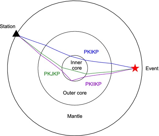 Travel paths of exotic inner core phases. Inner core shear waves, such as PKJKP, traverse deeper regions than the compressional phases, such as PKIKP and PKIIKP.