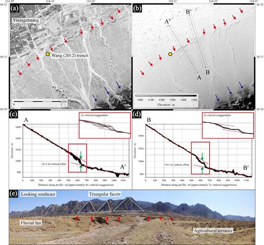 (a) Single-band (0.5 m resolution panchromatic) Worldview-1 image from 2011 September 21 of the Yuguang Graben Fault around 7 km south of the city of Guangling. Blue arrows mark position of the range-front normal fault, which dips to the northwest; red arrows mark the most recently active fault segment. Yellow circle marks the location of the trench opened by Wang (2012). (b) 1 m resolution DEM of the same area as (a) derived from a stereo pair of Worldview-1 images from July 2008 and September 2011. (c) 100 m wide swath profile A–A΄. Dots show DEM points that fall within the swath. Red lines indicate best-fitting parallel lines to the upper and lower slopes. We measure a vertical offset of 12 ± 1 m. Note that the vertical exaggeration exacerbates the ≈3° difference in slope between the upper and lower surfaces—see the inset profile in the red box with reduced vertical exaggeration for comparison. (d) 100 m wide swath profile B–B΄. Annotations the same as (c). We measure a vertical offset of 14 ± 1 m. (e) Field photograph (taken at 39.718°N, 114.312°E) looking southeast at the Yuguang Graben Fault. Blue arrows mark position of range-front normal fault; red arrows mark the most recently active fault segment in the foreground.
