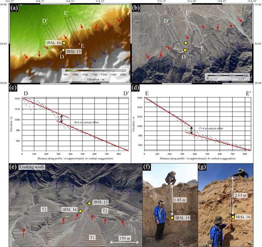 (a) 30 m resolution ALOS PRISM topography of Qifengpocun in the centre of the Liulengshan Fault (Takaku et al. 2014; Tadono et al. 2014). Blue arrows mark position of the range-front normal fault; red arrows mark the most recently active fault segment. Yellow circles indicate the locations of IRSL samples 15 and 16. (b) Google Earth imagery from March 2014 (source: http://earth.google.com) of the same area as (a). (c) 200 m wide swath profile D-D΄. Dots show DEM points that fall within the swath. Red lines indicate best-fitting (non-parallel) lines for the upper and lower slopes. We measure a vertical offset of 18 ± 4 m. (d) 200 m wide swath profile E–E΄. Annotations the same as (c). We measure a vertical offset of 17 ± 4 m. (e) Perspective view of the Google Earth imagery looking south at the Liulengshan Fault. Two terrace levels (T1 and T2) are visible. Blue arrows mark position of range-front normal fault; red arrows mark the most recently active fault segment. (f) and (g) Field photographs (taken at 39.948°N, 114.138°E and 39.950°N, 114.138°E) showing IRSL samples 15 and 16, taken from the sides of the T2 and T1 terraces respectively.