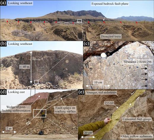 (a) Field photograph looking southeast at an exposed bedrock fault plane on the Liulengshan Fault. Red arrows indicate the position of the fault. (b) Field photograph (taken at 40.097°N, 114.468°E) showing a closer view of the ≈40 m high bedrock fault plane. (c) Zoomed in photograph at the same location showing the polished fault plane surface. Black arrows highlight the orientation of striations (238/68/298). (d) Field photograph (taken at 40.115°N, 114.499°E) looking east at a road-cut exposure of the Liulengshan Fault in the uplifted basin sediments towards the eastern end of the fault. (e) Zoomed in photograph at the same location showing the orientation of the fault plane (255/60) and the calcite-cemented fault gouge.
