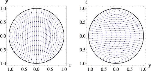 Initial magnetic field for the kinematic analysis of the QG model. The left and right panels show a projection on the x, y plane (the equatorial plane) and the right panel is a meridional cut in the z, y plane, respectively.
