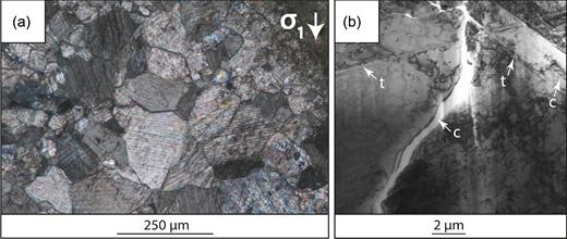 Micrographs of Tavel limestone samples deformed at 70 MPa and presented in Nicolas et al. (2017). (a) Micrograph of the sample under optical light. The twinning activity is very intense. (b) Observation of a foil milled in a highly twinned grain. At some point of inelastic compaction, crystals cannot undergo more plastic strain and develop intragranular cracks noted ‘c’. Dislocations and twins (noted ‘t’) are associated and occur simultaneously. Cracks are cross-cutting the twins.