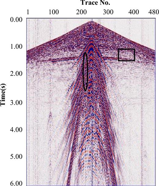 Field-shot gather of raw seismic data.