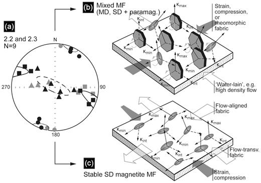 The interpretation of the alignment of magnetic minerals and some theories about the origin of the unique MF found in 2.3 of Series 2. The principal susceptibilities are ploted in equal area projection (a), a geographical coordinate system, and marked by ▓ maximum susceptibility, ▲ intermediate susceptibility and ● minimum susceptibility (grey coloured—2.2; black coloured—2.3). The alignment and scattering of the principal susceptibilities are represented by 95 per cent confidence ellipsoids.The grey-coloured elongated-shape grains represent the MD, SD and SP ferromagnetic components, such as magnetite. The grey-coloured polygons represent paramagnetic contributors, such as biotite. The small arrows indicate the orientation of the principal susceptibility axis: solid line—κmax; dashed line—κint; dotted line—κmin. The white, wide and transparent arrows indicate sedimentary processes, the direction of the palaeocurrent (windt or water-lain processes). The dark grey, wide and transparent arrows indicate strain, compression, triggered by mass movements (e.g. creeping) or seismic activity. The light grey arrows indicate rolling grains during the transportation by the palaeocurrent.