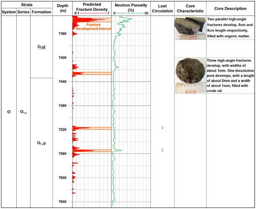 The predicted fracture density curve, neutron porosity curve, lost circulation and core characteristics of the A1 well.