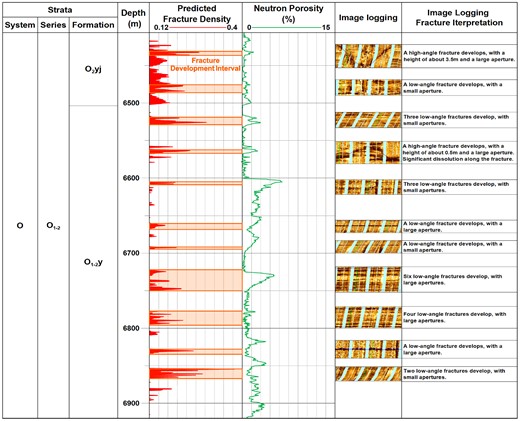 The predicted fracture density curve, neutron porosity curve and imaging logging responses of the A2 well.