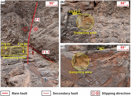 (a) Studied strike-slip fault in Yangjikan section outcrop in Fig. 1(a); (b) sampling area at the fault core and (c) sampling area at the damage zone.