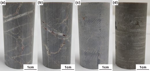 Standard samples from different parts in the fault zone. (a) The sample at the main fault; (b) the sample 0.1 m from the main fault; (c) the sample 3 m from the main fault and (d) the sample 5 m from the main fault (Samples Car-0 and Car-0.1 belong to the fault core; Samples Car-3 and Car-5 belong to the damage zone).